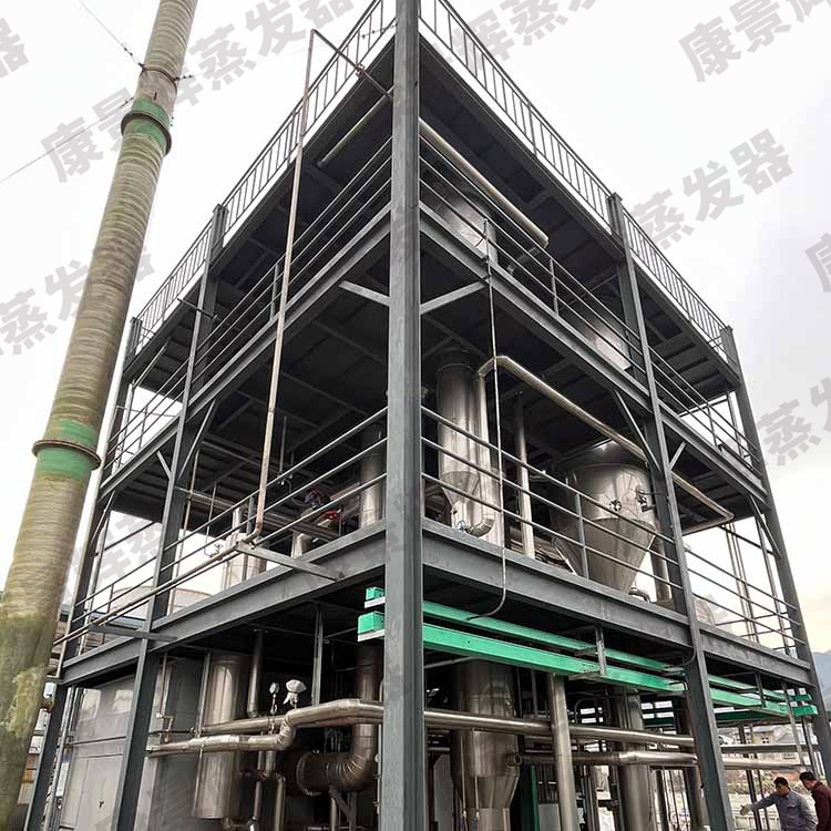 處理量4t/h植物黃姜水解液MVR蒸發濃縮系統